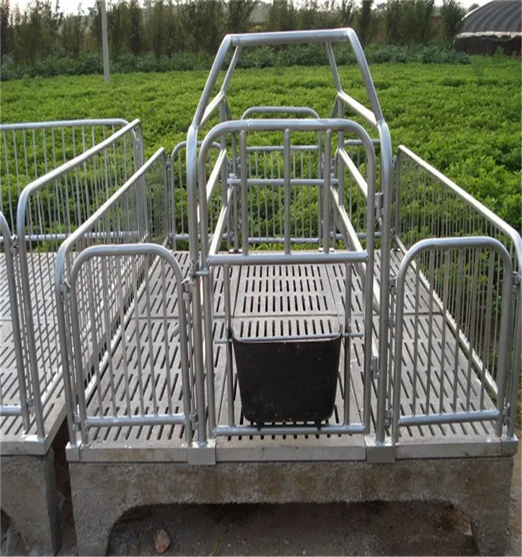High Quality Low Price Stainless Steel Farrowing Crate For Sale Buy