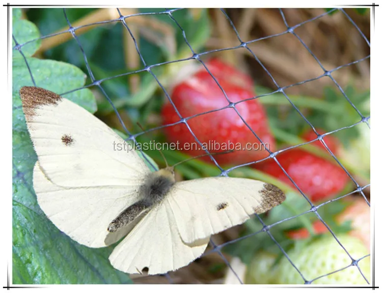 bird netting Butterfly Network.jpg