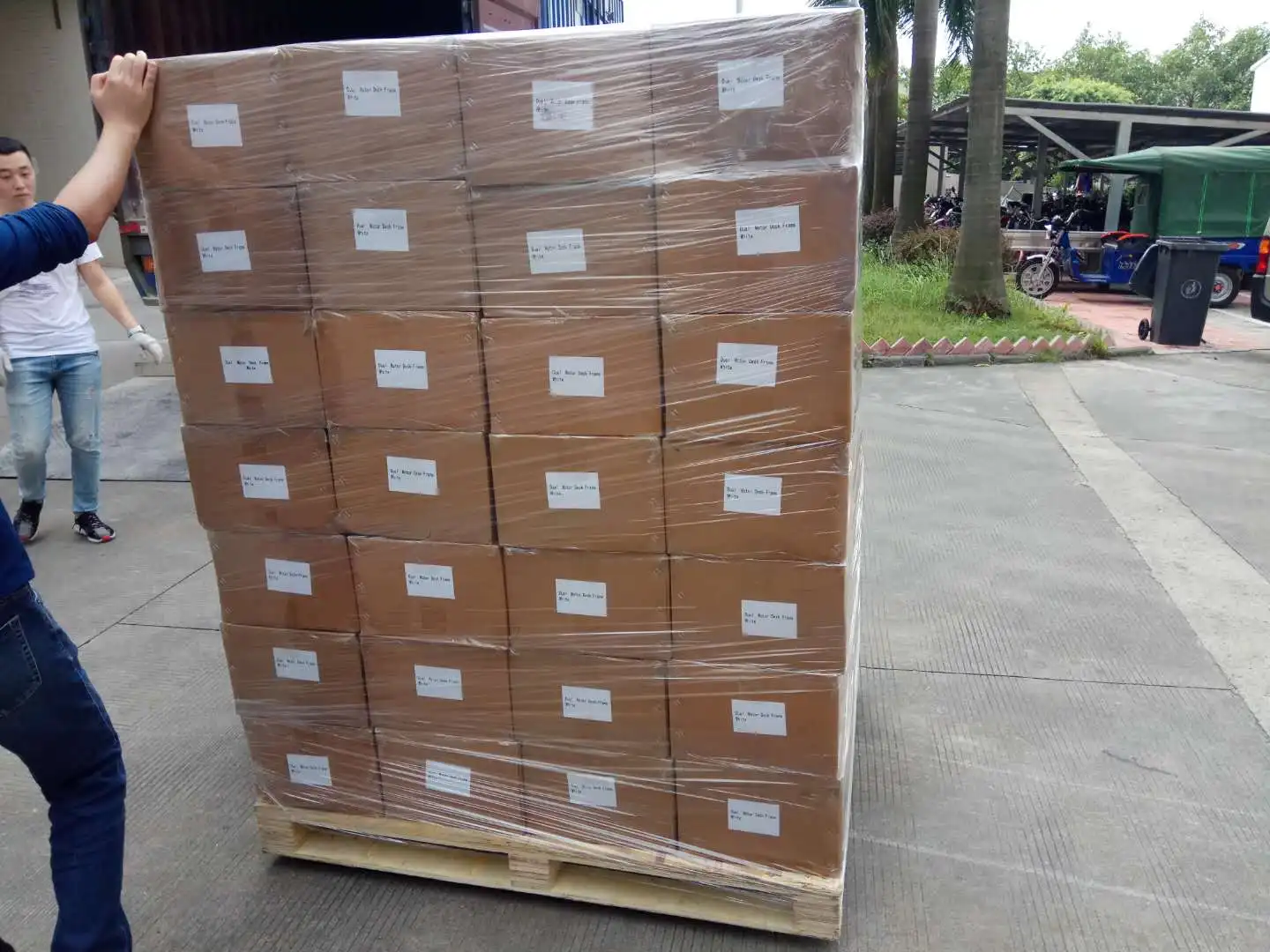 pallet photo