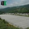 New design use tunnel greenhouse agriculture high quality for wholesales