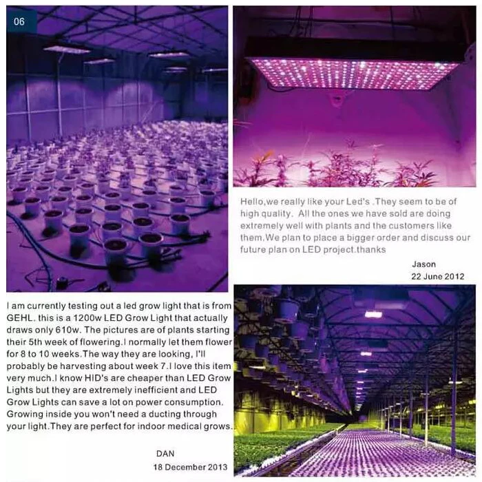 led quantum board grow light ip65 5years warranty full spectrum 120w 240w 300w 600w Foldable led grow light