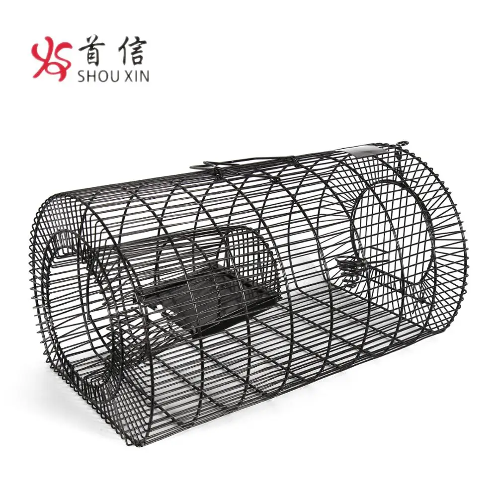 metal rodent cage