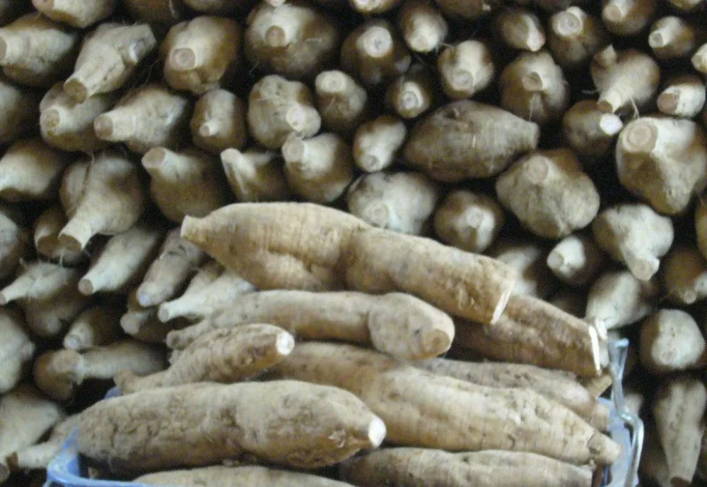 Kudzu Root Extract,Kudzu Seed Buy Kudzu Root Extract,Plant Extract 40