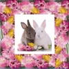 Textile Product Cushion Cover with Rabbit Design Printed Cushion Made by Chinese BSCI Factory with Low MOQ Workable
