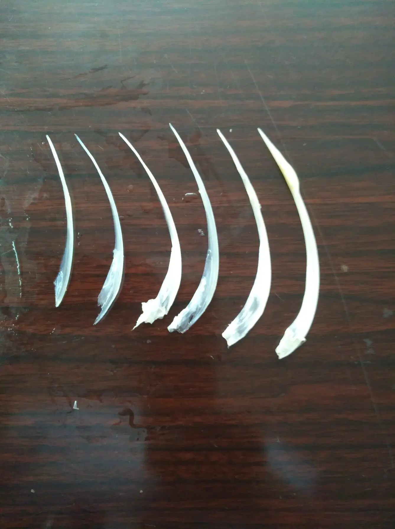 Commercial Fish Deboner Fish Pin Bone Remover Buy Pin Bone Remover