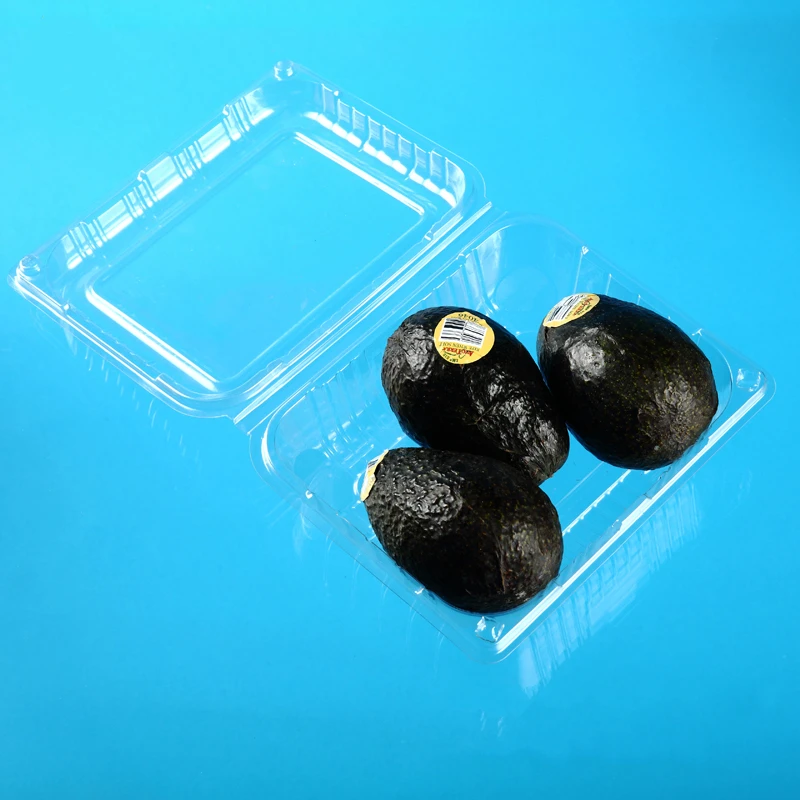 High Quality Disposable Plastic Clamshell Fruit Packaging Container For