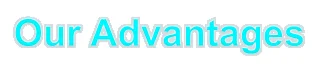 Our advantages.png