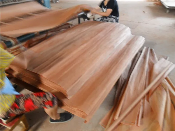 chinese low price natural gurjan veneer ,PLB veneer, for india market