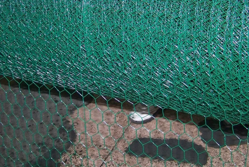 Anping Factory Price 1/2'' 3/4'' Lowes Chicken Wire Mesh Roll For Sale