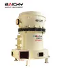Best quality Calcium Carbonate Raymond Grinding Mill /iron ore/Limestone powder making plant