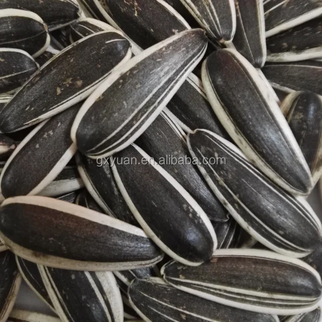
Sunflower Seeds 