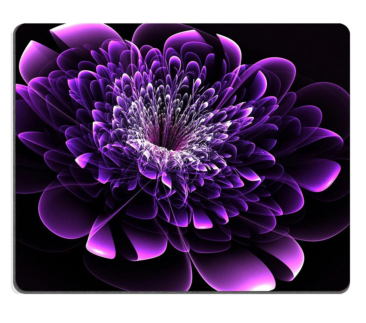 Цветок фиолетовый картина на черном фоне