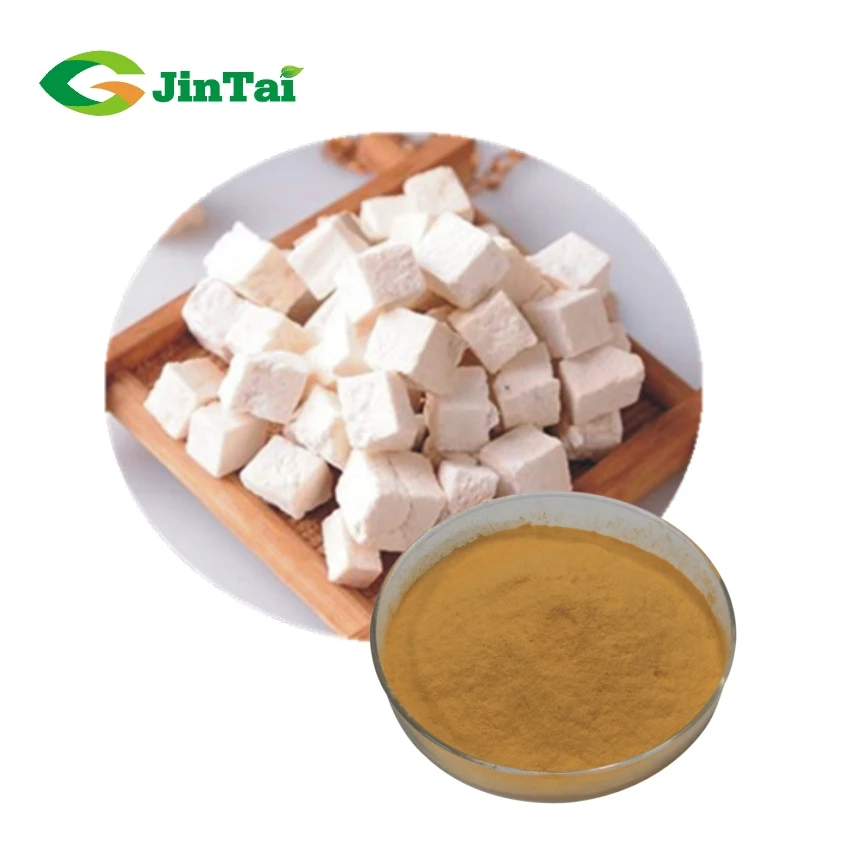 Acheter Herb Poria Cocos Graines Plante Poria Cocos Pour Fu Ling
