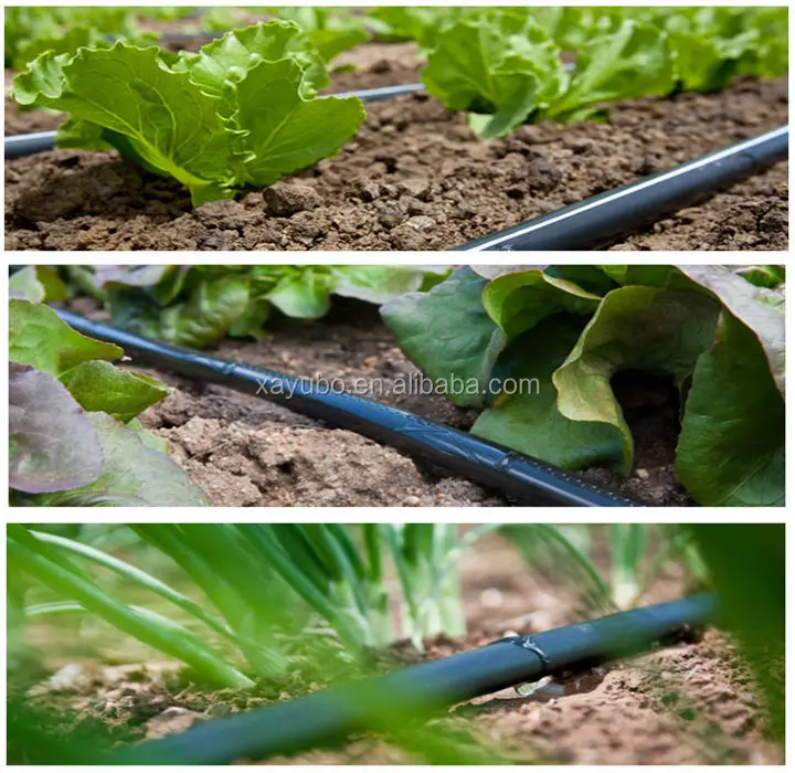 Grape Drip Pipe For Drip Irrigation System Buy Grape Drip Pipe,Drip