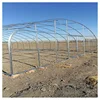Factory directly supply high quality cheap price hot dip galvanized round greenhouse steel pipe