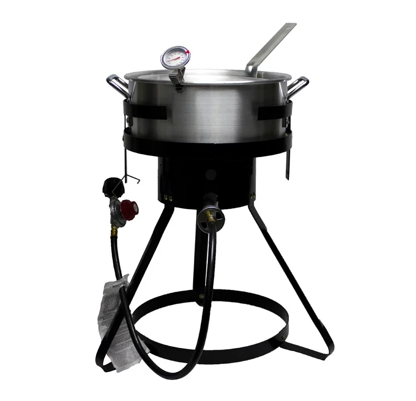 10.5qt Portable Outdoor Gas Aluminium Fish Frying Pot Buy Portable
