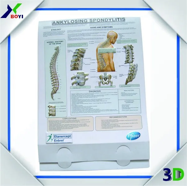 Best Seller Medical Wall Chart,Embossed Medical Poster Digital Printing Uv Print The Anatomy Of