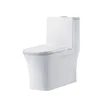 Hot Sale in South American Sanitary Ware Siphonic Flushing Flushing Method One Piece Custom Modern Toilets for Bathroom