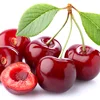 Wholesale cherry fresh with great quality