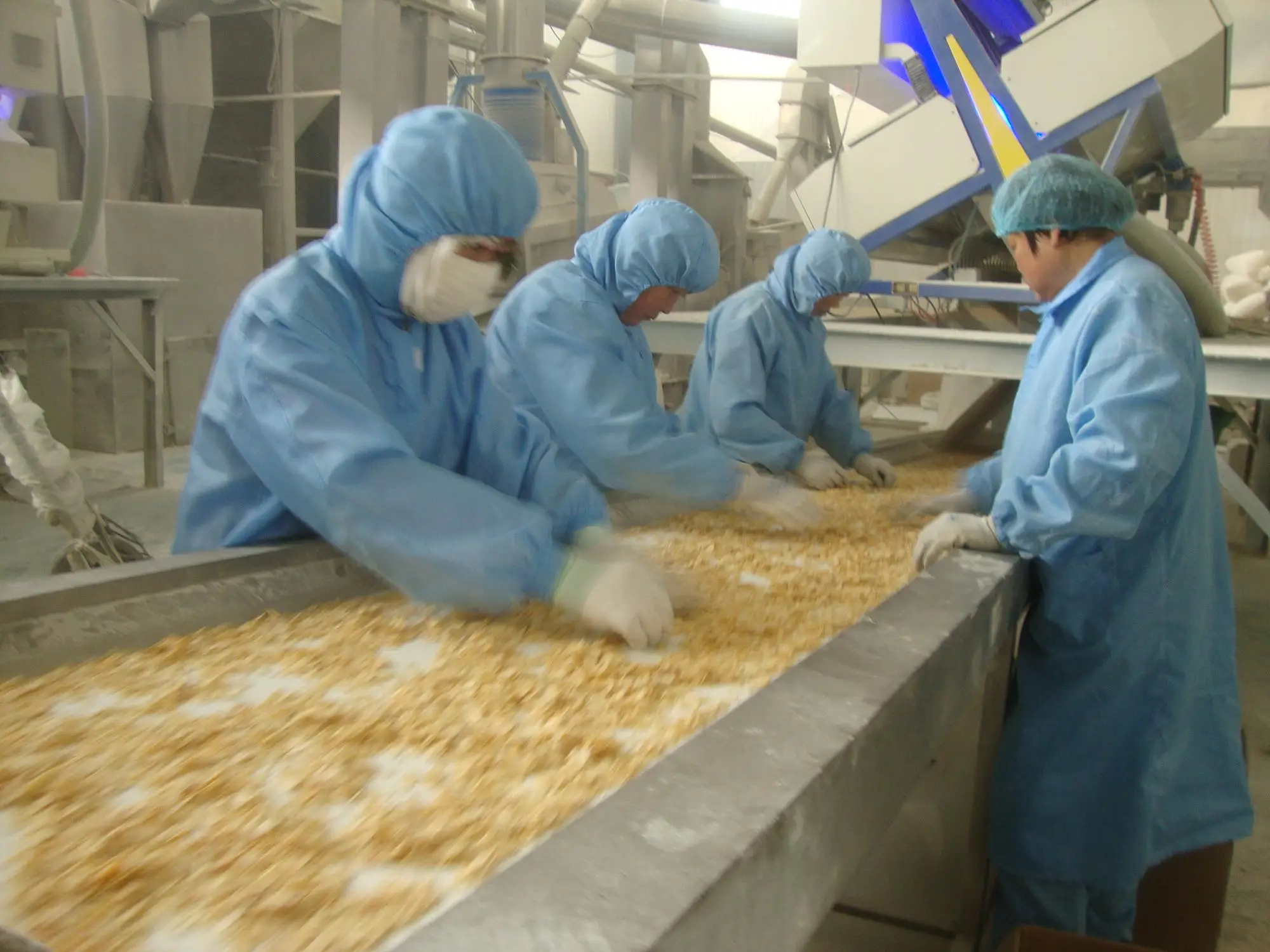 New Dehydrated Granulated Garlic