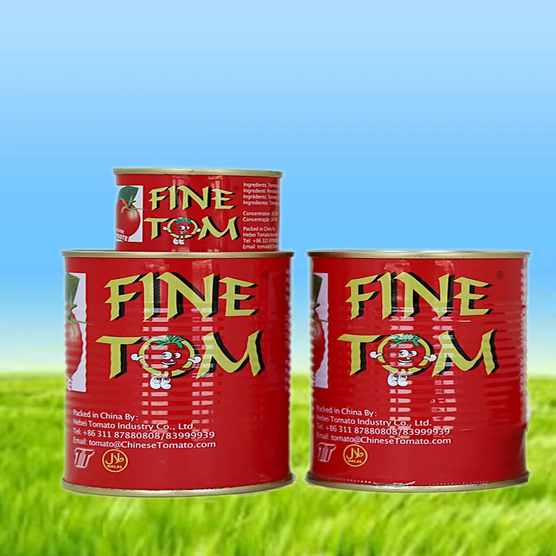 FINE TOM Tomato paste.jpg