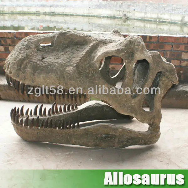 dinosaur fossil head