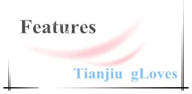 features of ski gloves.jpg