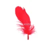 Feather Factory Hot-Selling Excellent Quality 5-8inch Goose Nagorie Customized Feathers Dyed