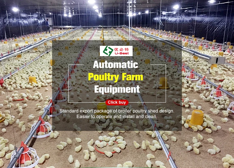 Poultry Feed Silo/chicken Farm Gas Heater Broiler Chicken Equipments ...