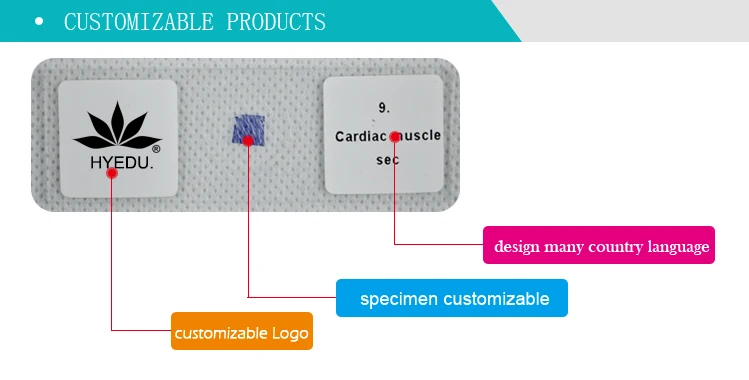 1prepared slides set.jpg