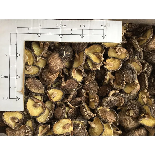 M-size koshin-shiitake (2).jpg