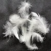 soft cheap white grey duck feathers for sale