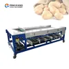 Onion Carrot Peeled Garlic Potato Vegetable Mango Passion Fruit Selection Sizing Grading Sorting Machine