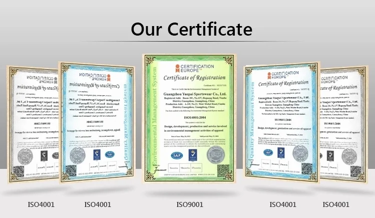 paste-pic-dp_uuid_1b09h