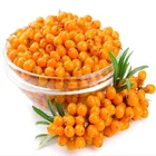 HONGA Gmp 工場供給シーバックソーン果汁粉末 Seabuckthorn のフラボンシーバックソーン果実粉末