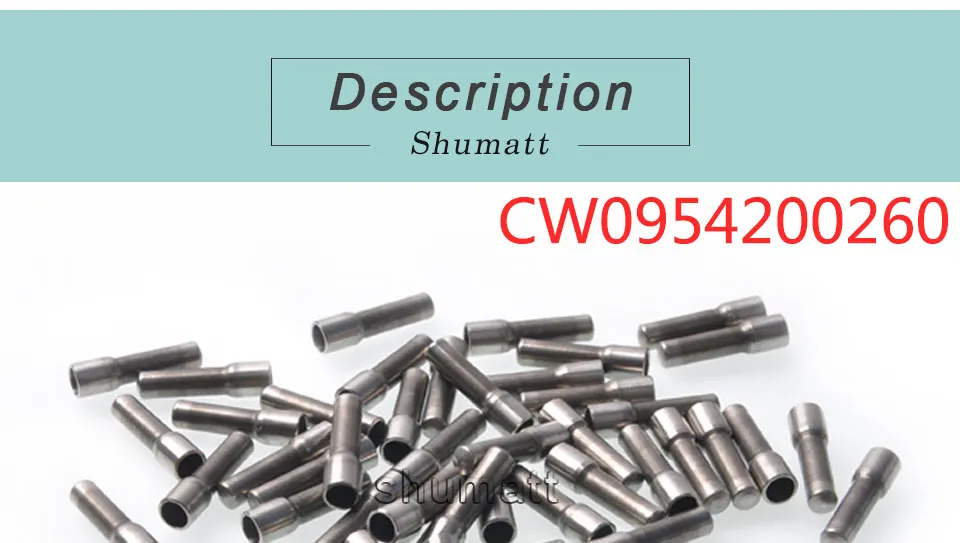 Genuine DENSO Diesel Common Rail Injector Filter CW095420-0260 10pcs Kit (1).jpg