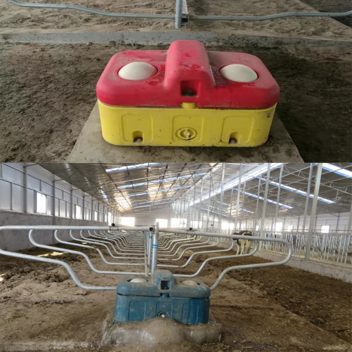 Yomo Dairy Farm Equipment Water Tank Cattle Water Trough In Animal