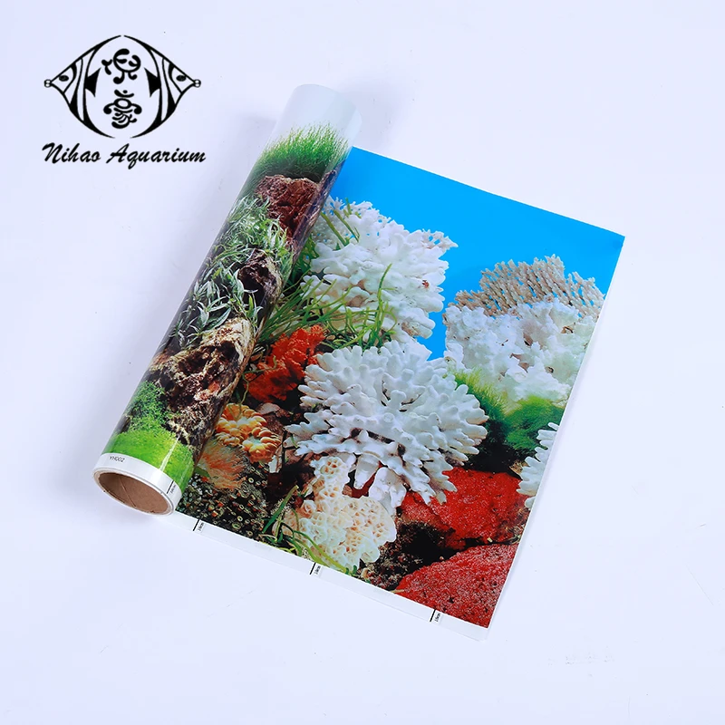 Download 91+ Background Aquarium Putih Polos HD Paling Keren
