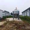 Good quality Live Chickens (Layers/broilers/live chicks/day old chicks)for wholesale