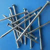 Dingzhou direct factory common wire nails/common wire nails for construction building/ cheap polished common nails