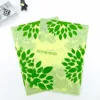 Clear PP Snap Envelope Style A4 Szie Design Plastic File Folder/Bag