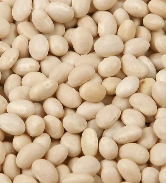 navy bean - buy navy bean,white bean,boston beans product on