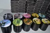 DVD disc replication and printing Service