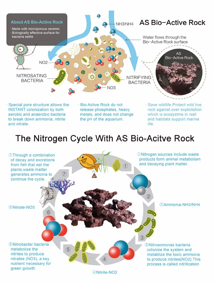 bio-active rock function