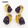 HOT SALES!! Amazing round druzy amethyst rings in 24k gold plated on brass WT-R102