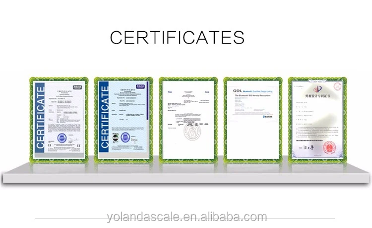certificate_08