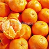 fresh fruit spring festival mandarin orange