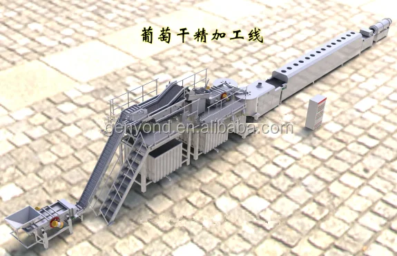 Raisin Making Racks Raisin Making Machine - Dried Grapes Processing Equipment for Food ...