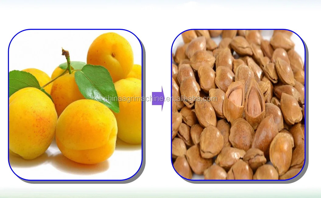 Almond Peeling/shelling Machine /almond Breaker Machine Buy Almond Peeling Machine,Almond
