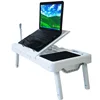 Modern Plastic Adjustable Computer Gaming Desks Table With Fan Cooling and USB